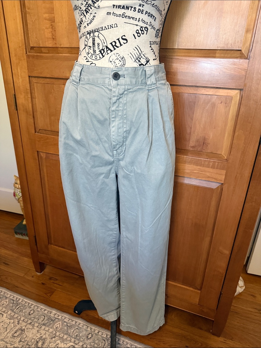 MADEWELL Women’s Relaxed Pleat Front Pants in Light Blue